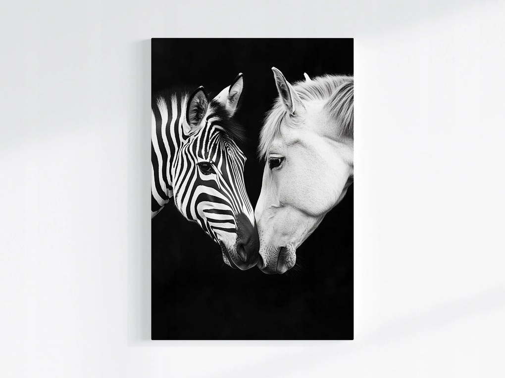 Canvas Vászonkép Portré Ló Zebra Fehér Fekete Kontraszt B&amp;w 80x120