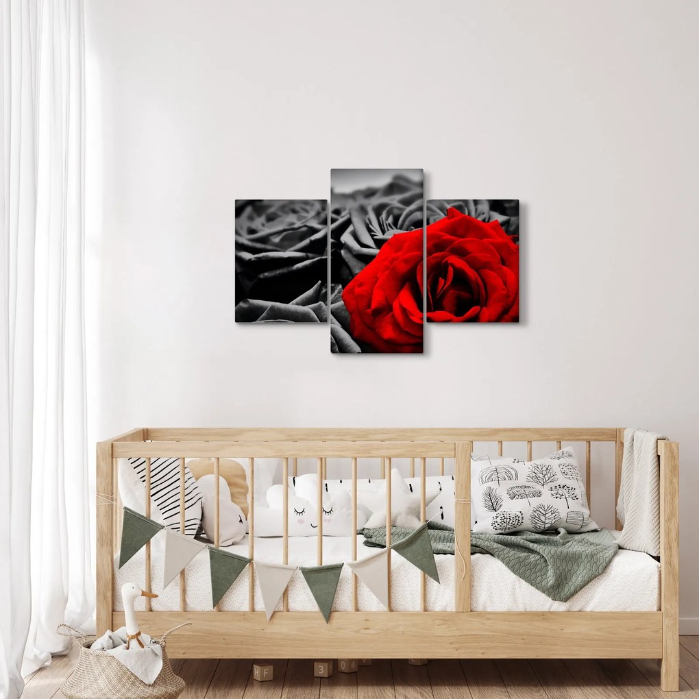 Kép - Rózsák (90x60 cm)
