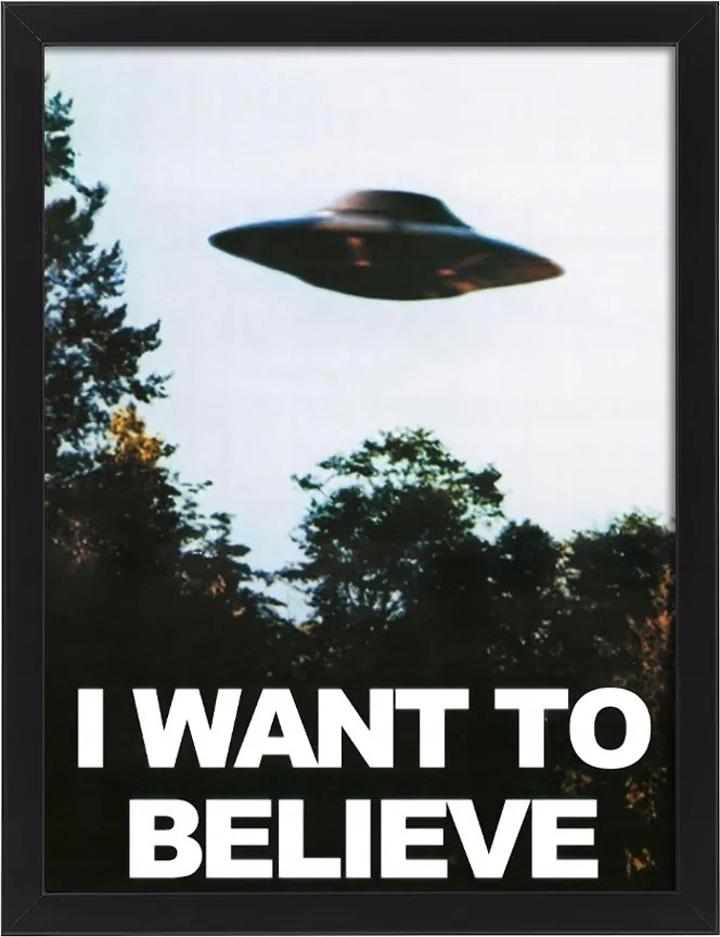 Vászonkép keretben X-akták I want to believe Ufo 30x20 cm
