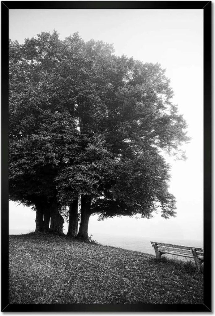 Poszterek keretben 40x60 Tájkép szürke Bw