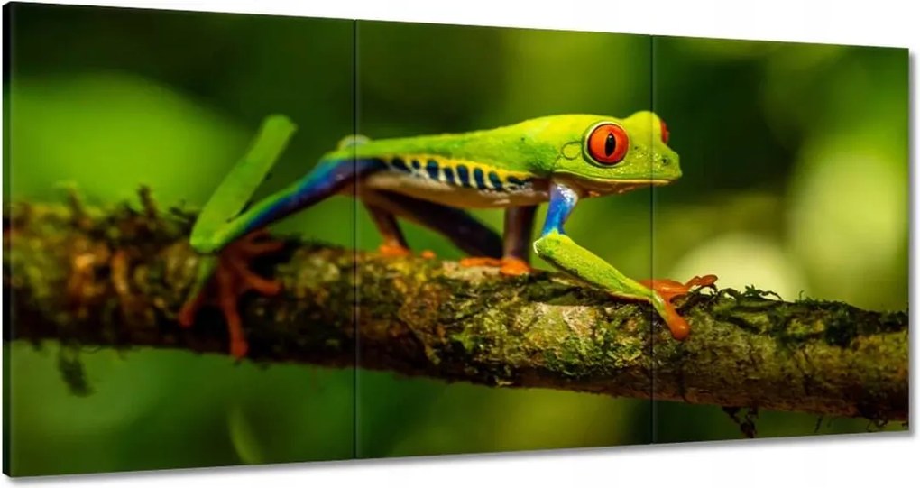 Vászonkép 180x90 Állatok