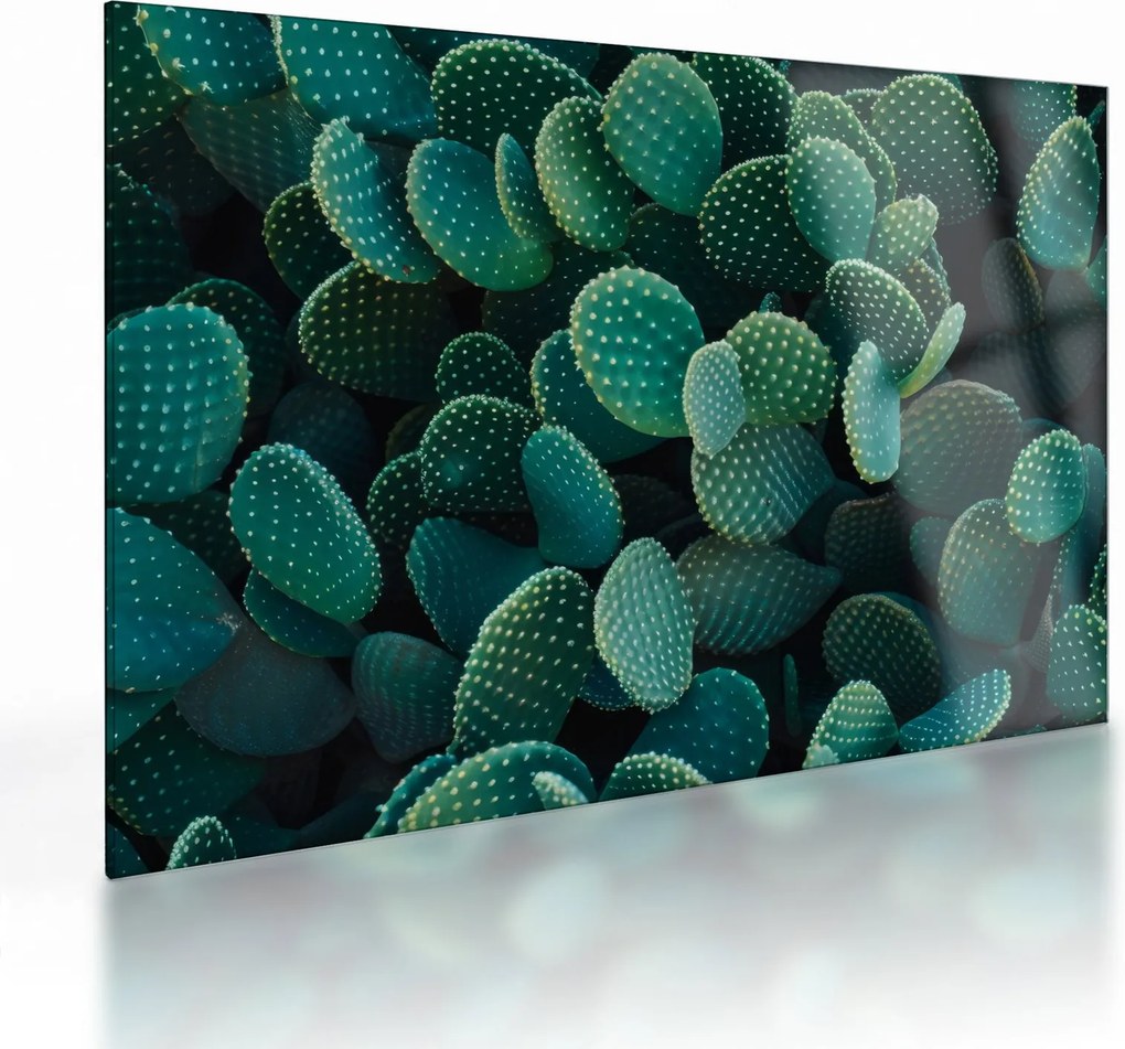 Üveg kép - Opuntia (70x50 cm)