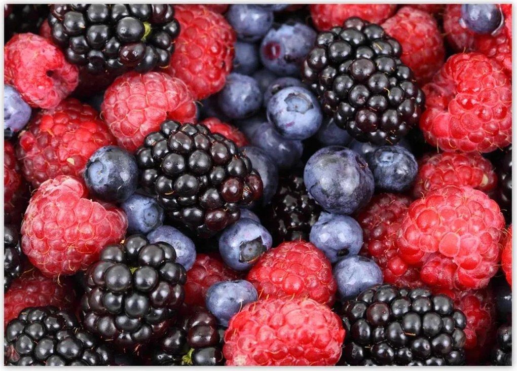 Poszterek 70x50 Zamatos gyümölcsök