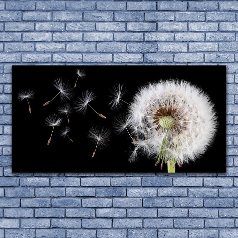 Fali üvegkép Pitypang 120x60cm