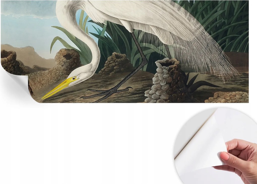 Divatos öntapadós fali tapéta Furnér Fenséges kócsag 250x104 cm