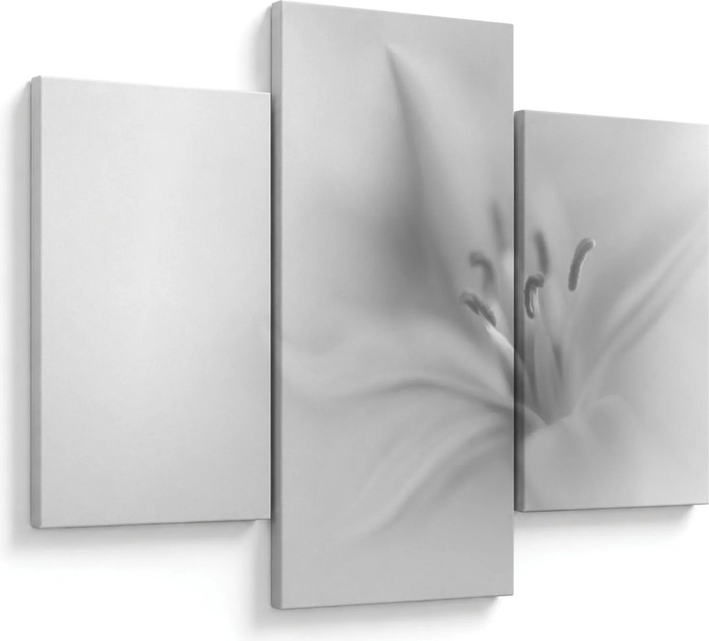 Kép - Delicate Lily (90x60 cm)