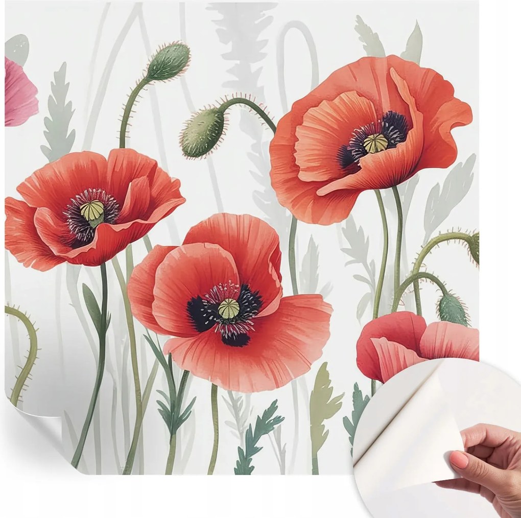 Modern öntapadós fali fotótapéta Piros pipacs 250x250 cm