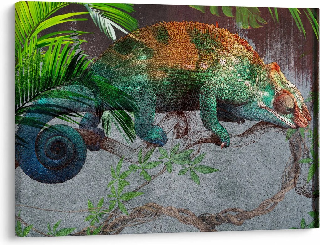 Kép - kaméleon (70x50 cm)