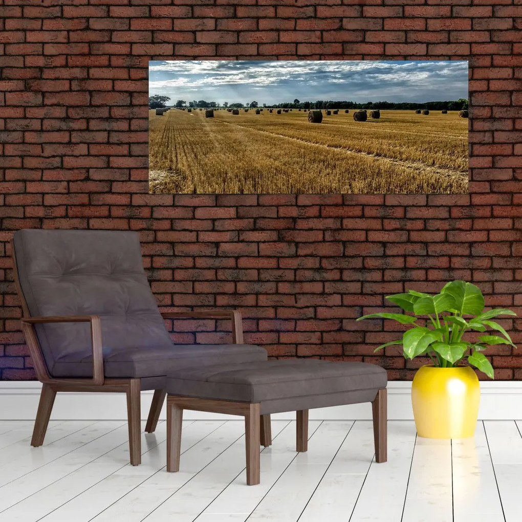 Betakarított gabona mező képe (120x50 cm)