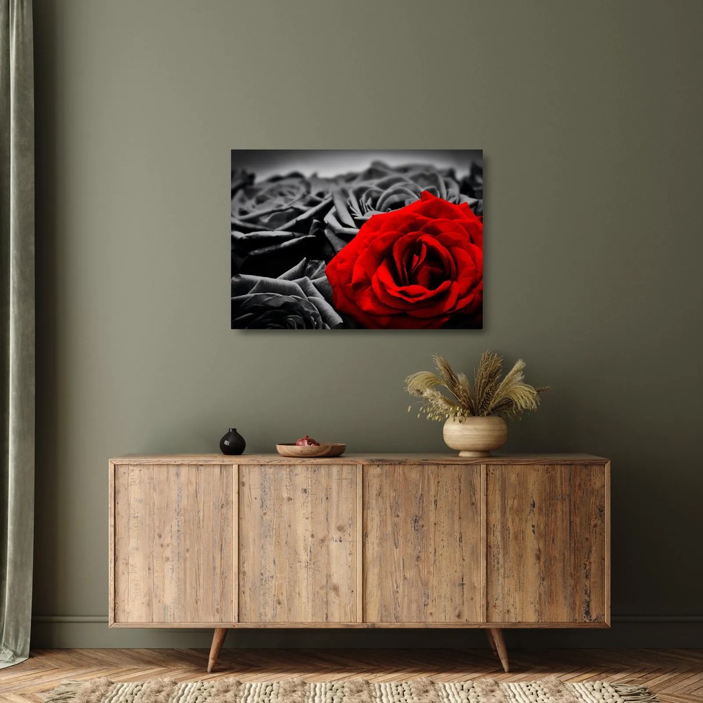 Kép - Rózsa virágok (üvegen) (70x50 cm)