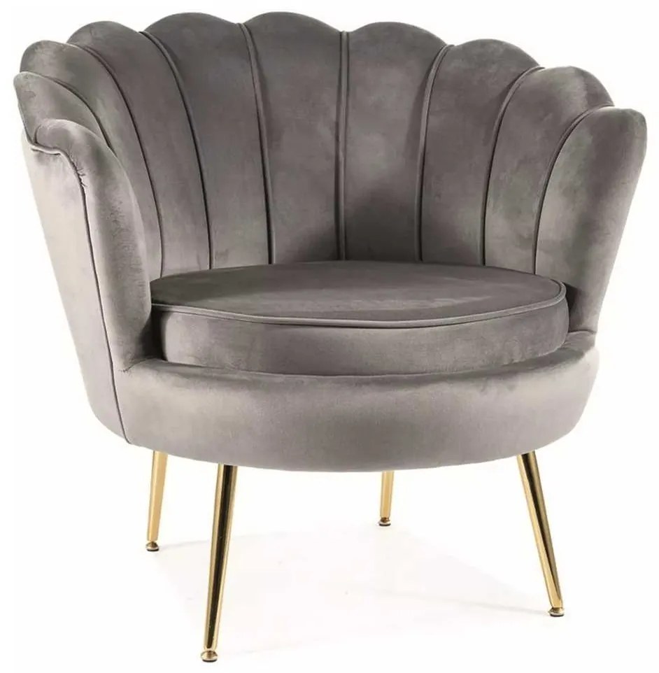 Ionia Velvet fotel, szürke
