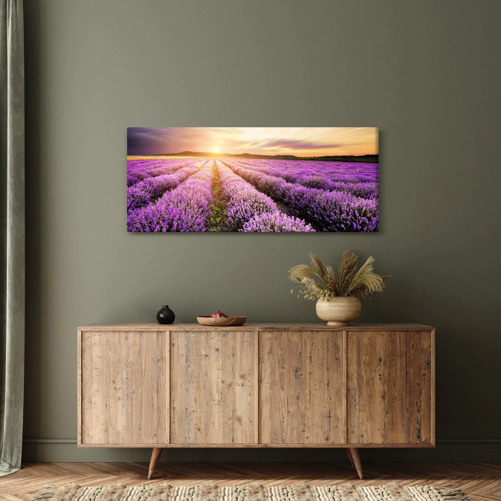 Kép - Napfelkelte levendulamezőn (120x50 cm)