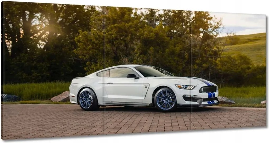 Képek 180x90 Ford Mustang Usa autó