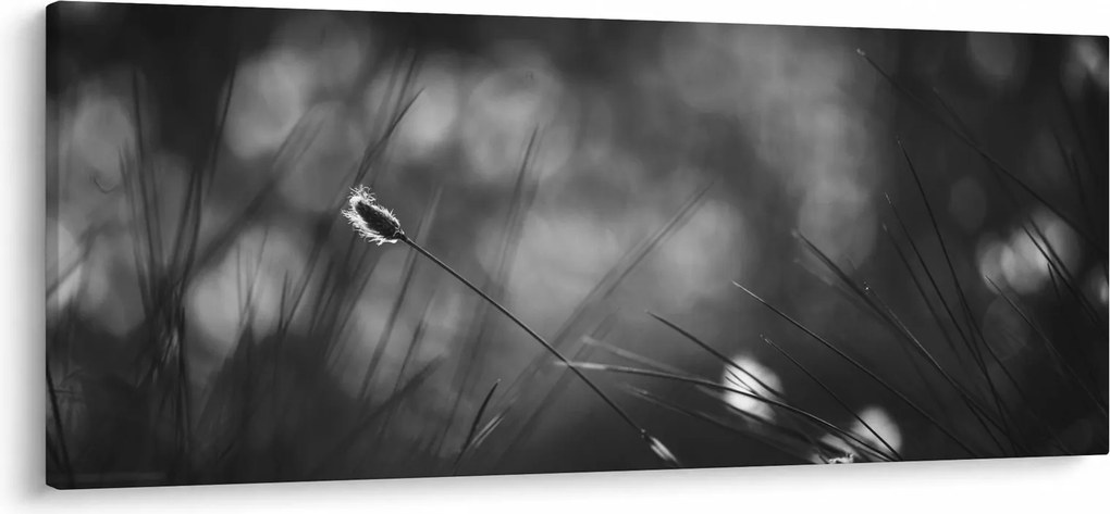 Kép - Mezei fű (120x50 cm)