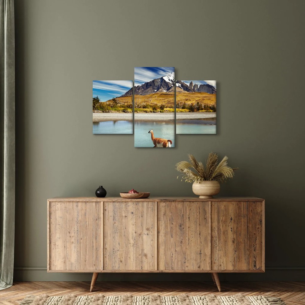 Kép - Torres del Paine Nemzeti Park (90x60 cm)