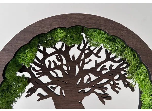 Li-Go 23604/DUB2 - Fényerőszabályozható LED asztali dekoráció LED/12W/230V 20x22 cm tölgy