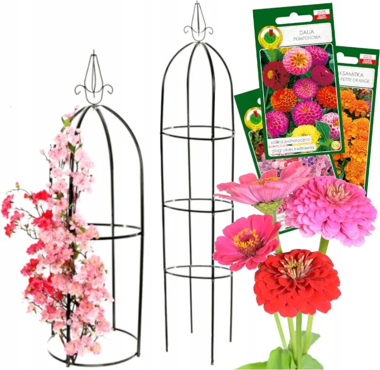 Kerti Pergola Rózsák Virágok Oszlop