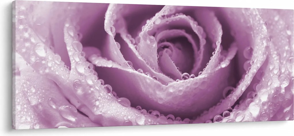 Egy rózsa virág részlete (120x50 cm)