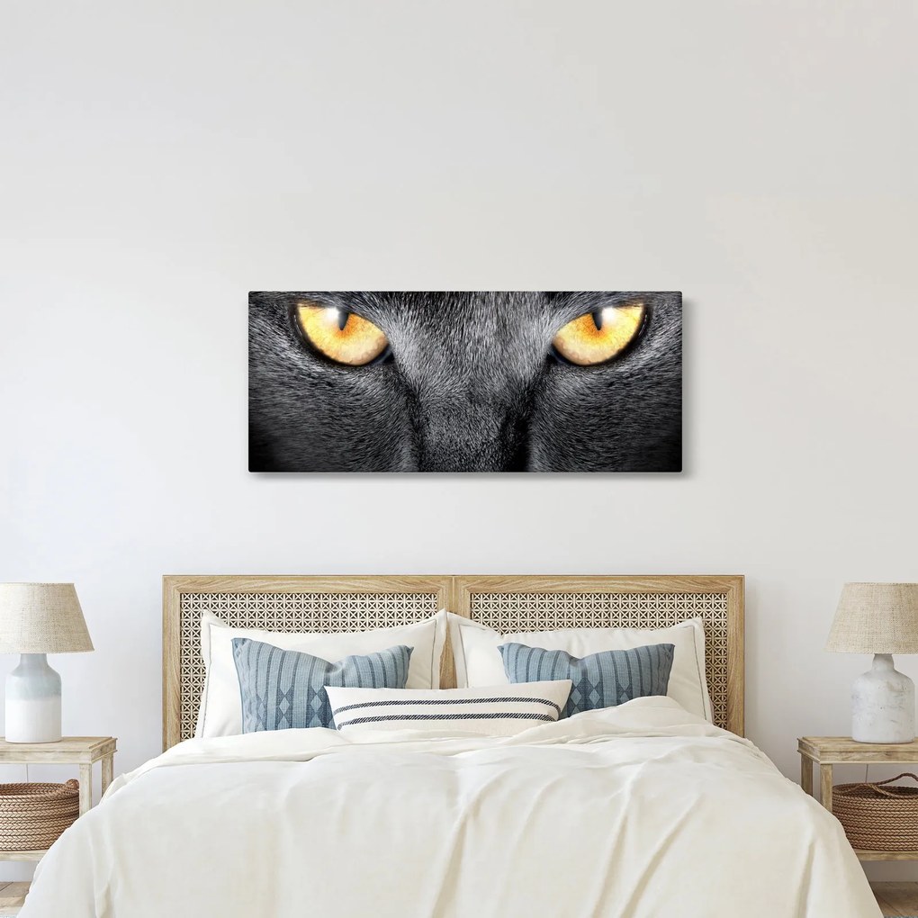 Kép - Közeli portré egy macskáról (120x50 cm)