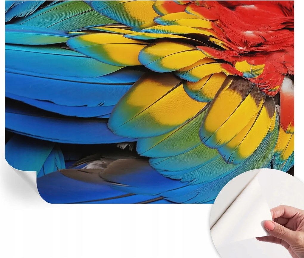 Dekoratív öntapadós fotótapéta irodába Szivárvány tollak 208x146 cm