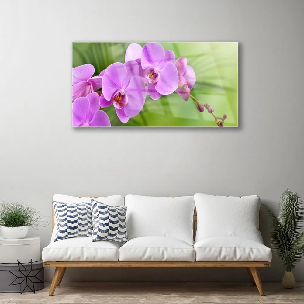Fali üvegkép Orchidea Orchidea Virág 100x50 cm