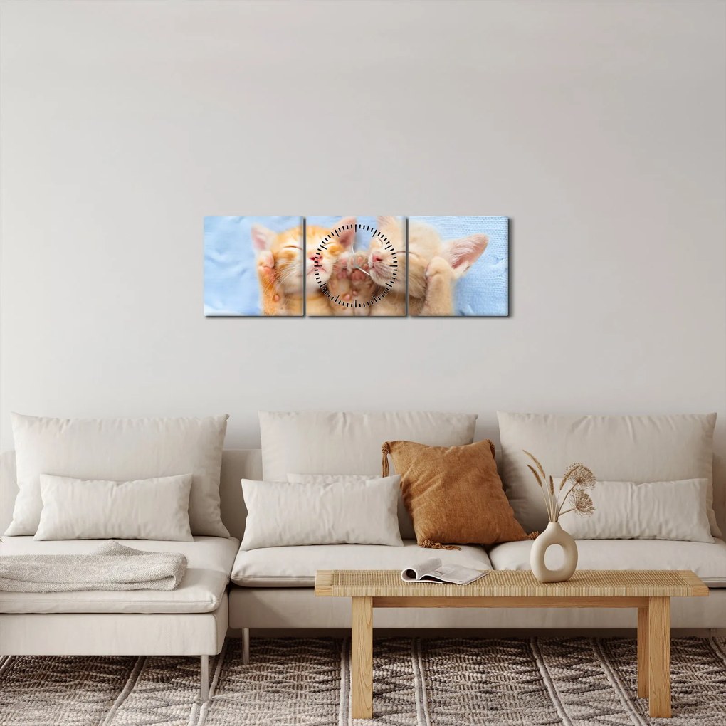 Kép - Alvó cicák (órával) (90x30 cm)