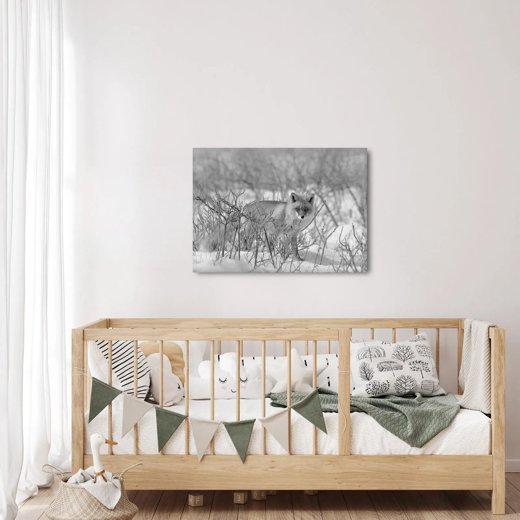 Kép - Róka, fekete, fehér (70x50 cm)
