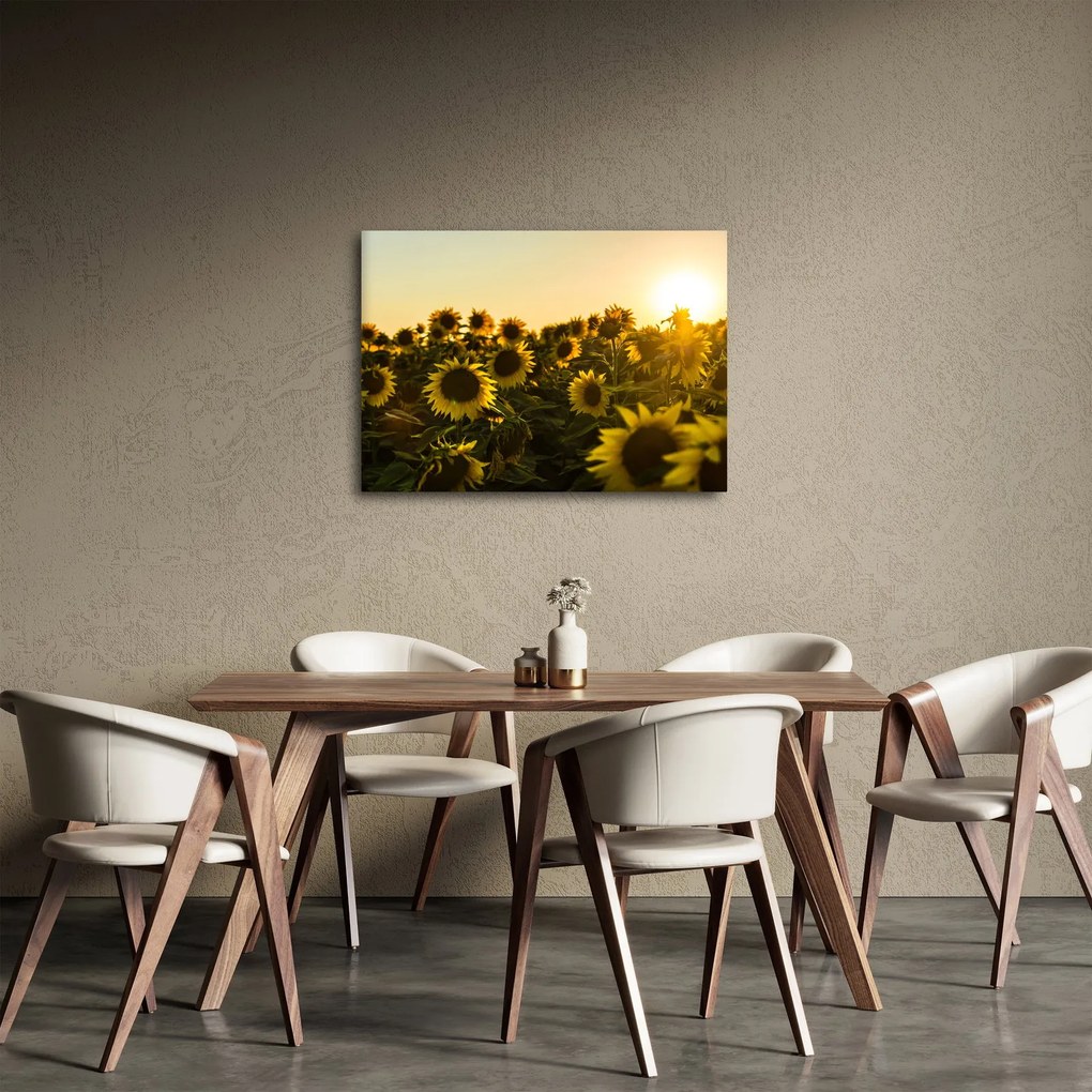 A napraforgó mező képe (70x50 cm)