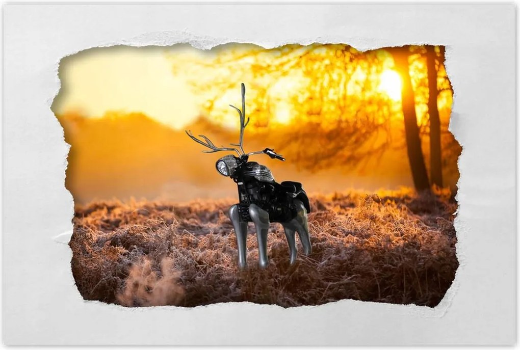 Poszterek 60x40 Chopper az erdőn