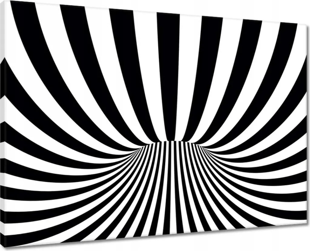 Vászonkép 70x50 Absztrakt fekete-fehér