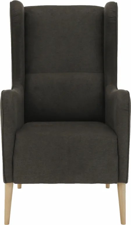 Kényelmes fotel, barna/bükk, BREDLY