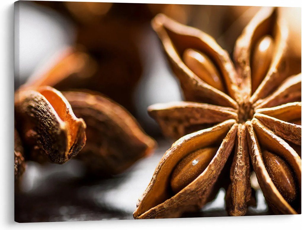 Kép - Anise (70x50 cm)