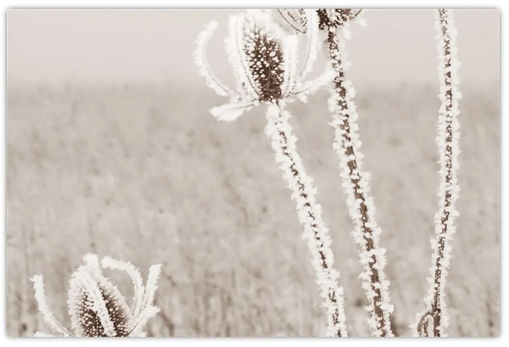 Kép - Gyűszű télen (90x60 cm)