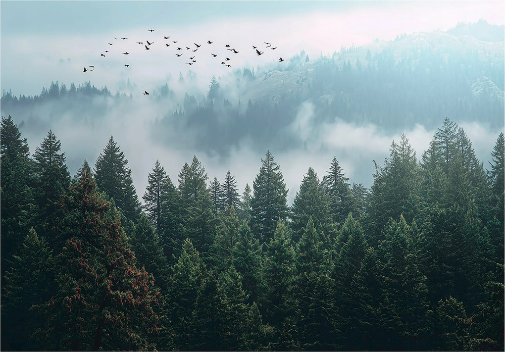 Fotótapéta Erdő A Ködben 3D Fák Természet Falra Hálószoba Nappali 300x210