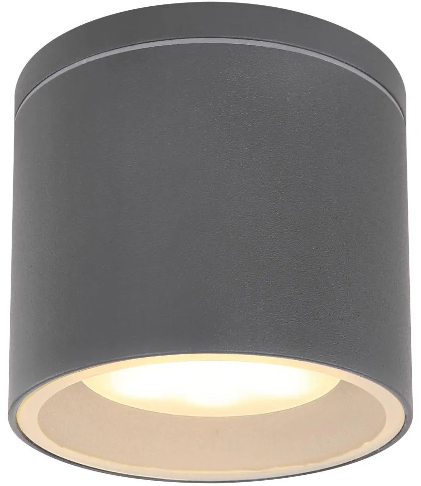 Globo 32063A - Kültéri mennyezeti lámpa ALCALA 1xGX53/11W/230V IP44