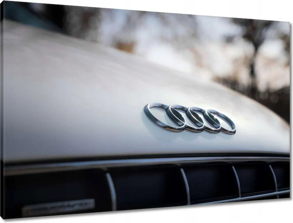 Vászonkép 90x60 Audi Gyönyörű autók