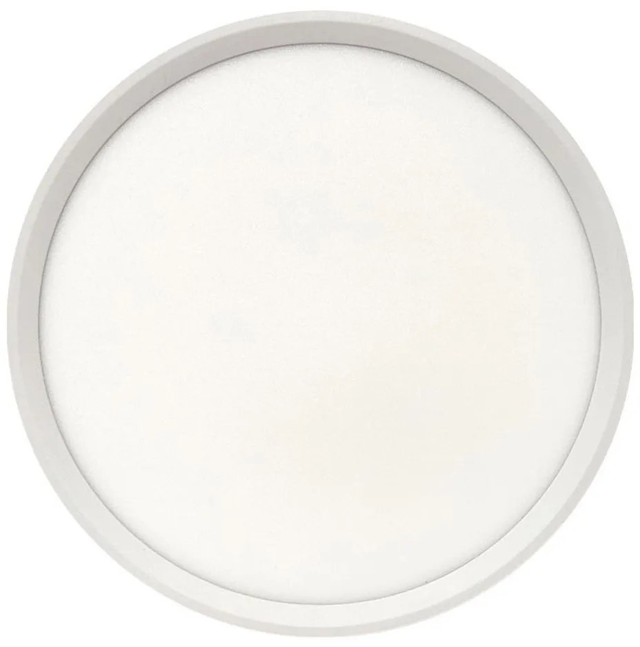 LED mennyezeti lámpa LED/24W/230V 3000/4000/6500K átm. 30 cm, fehér