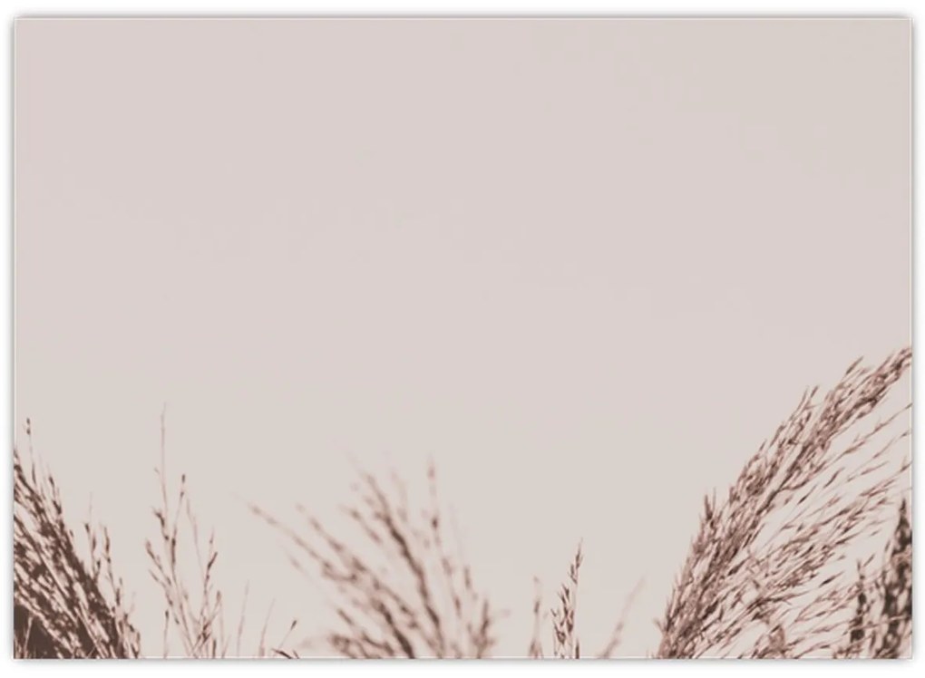 Üveg kép - Szárított fű (70x50 cm)