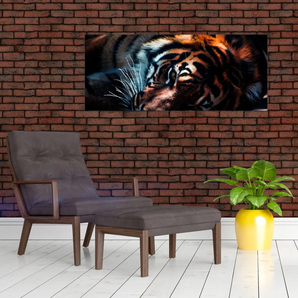 Egy fekvő tigris képe (120x50 cm)