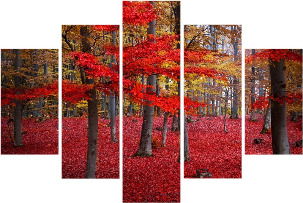 Kép - vörös erdő (150x105 cm)