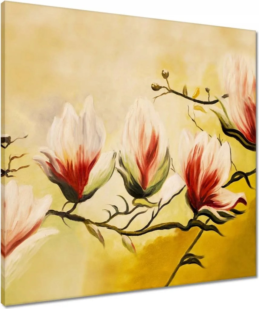 Vászonkép 60x60 Magnólia