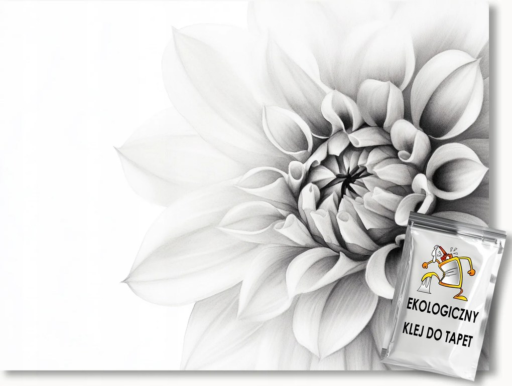 Fotótapéta Flizelina Virág Fehér Dália Minimalizmus Boho Makro 100x75 ragasztó