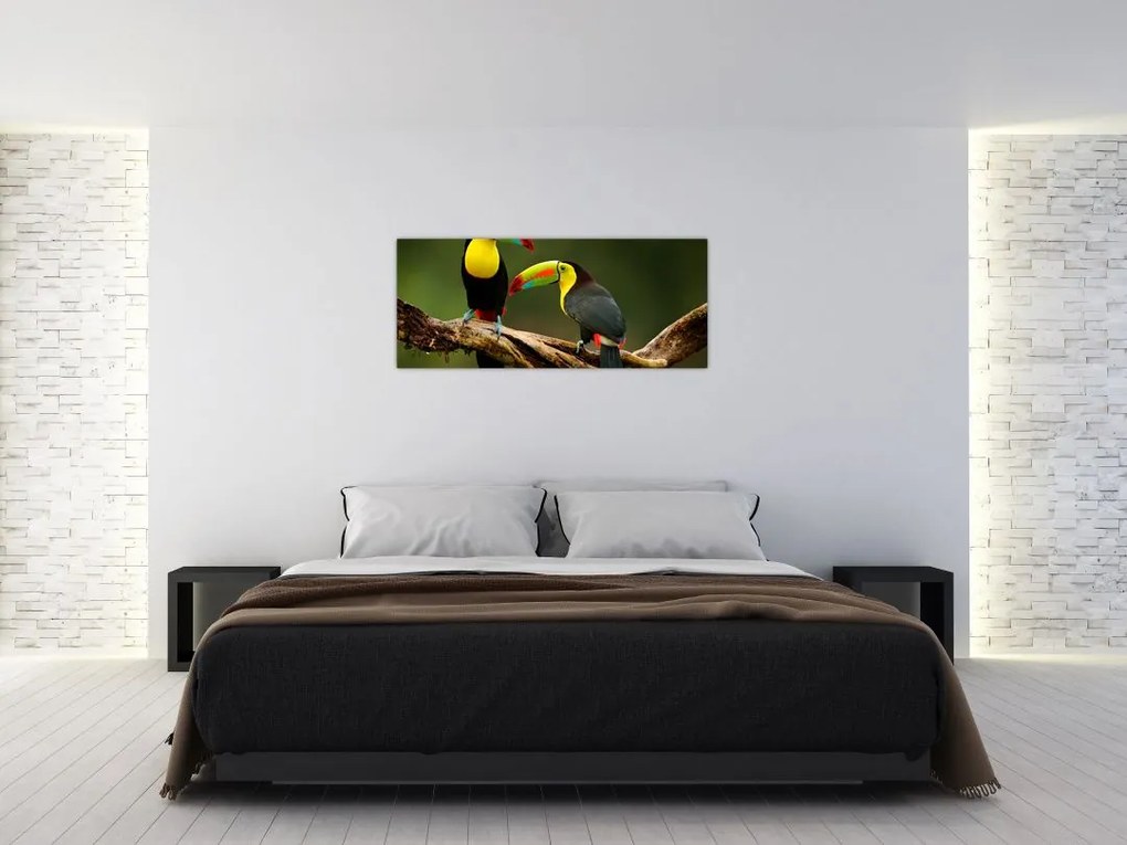 Ülő tukánok képe, Costa Rica (120x50 cm)