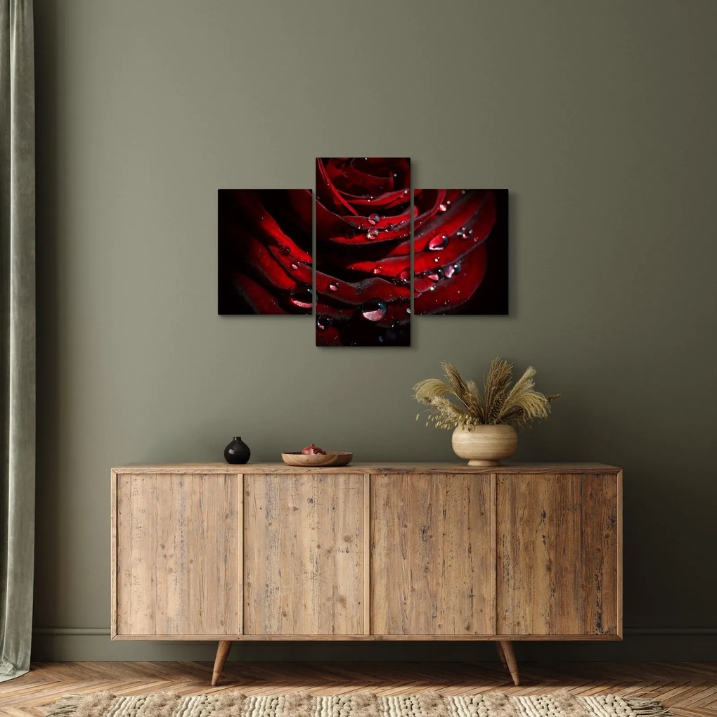 Kép - Rózsa részlete (90x60 cm)