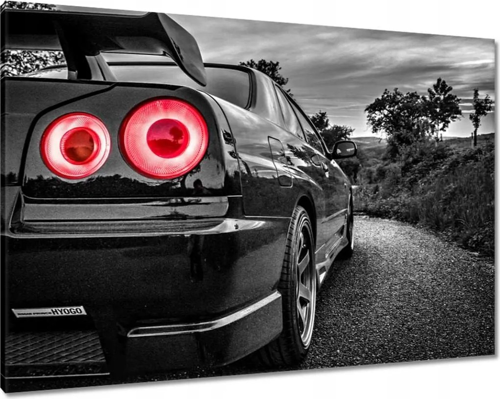 Képek 100x70 Nissan Skyline Sport Cars