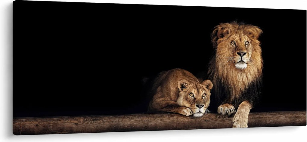 Kép - oroszlán és a nőstény oroszlán (120x50 cm)
