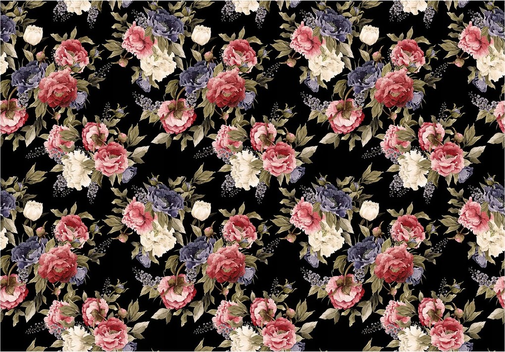 Fotótapéta Rózsa fekete alapon Piros-rózsaszín elegancia 300x210 +ragasztó