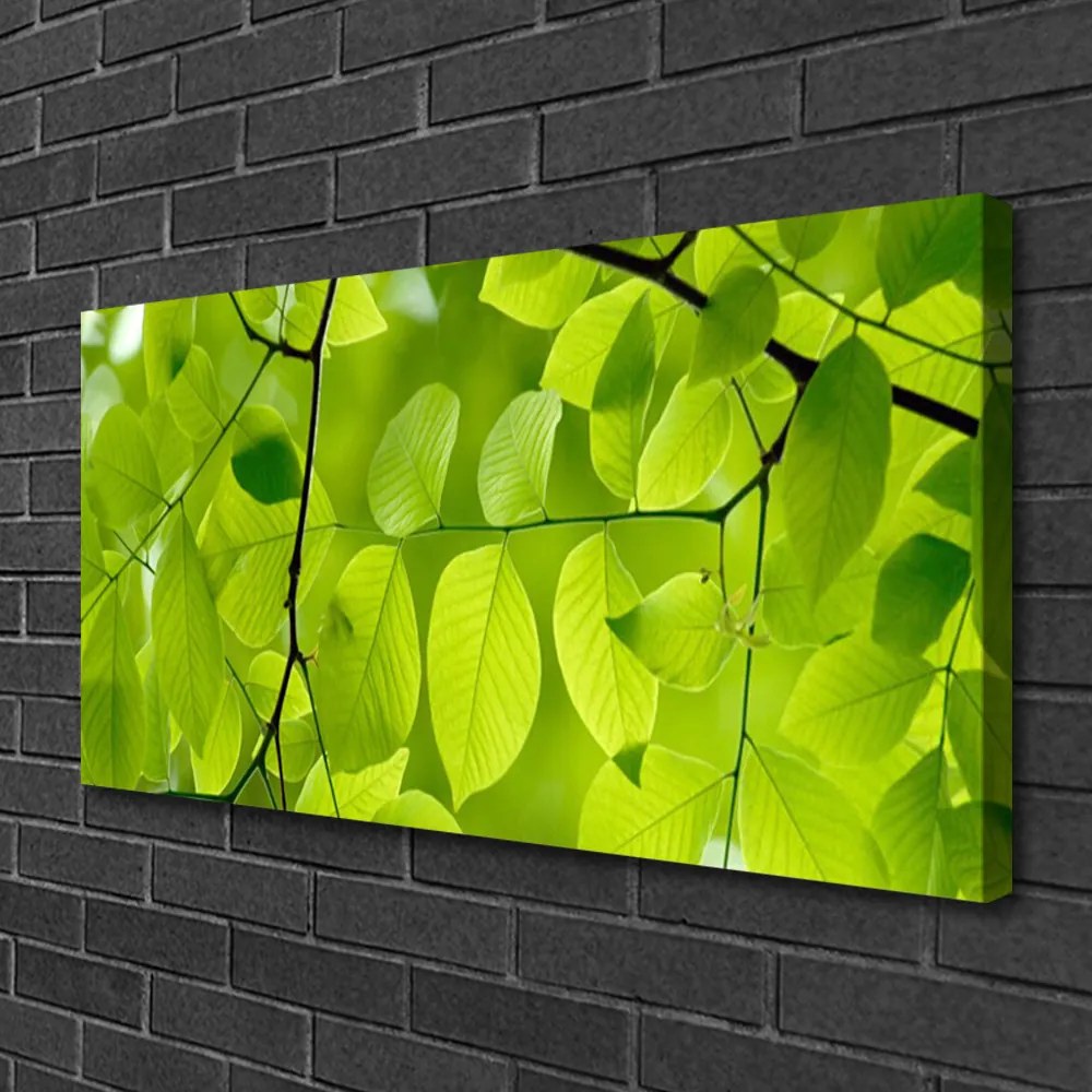 Vászonkép falra Elhagyja Plant 140x70 cm