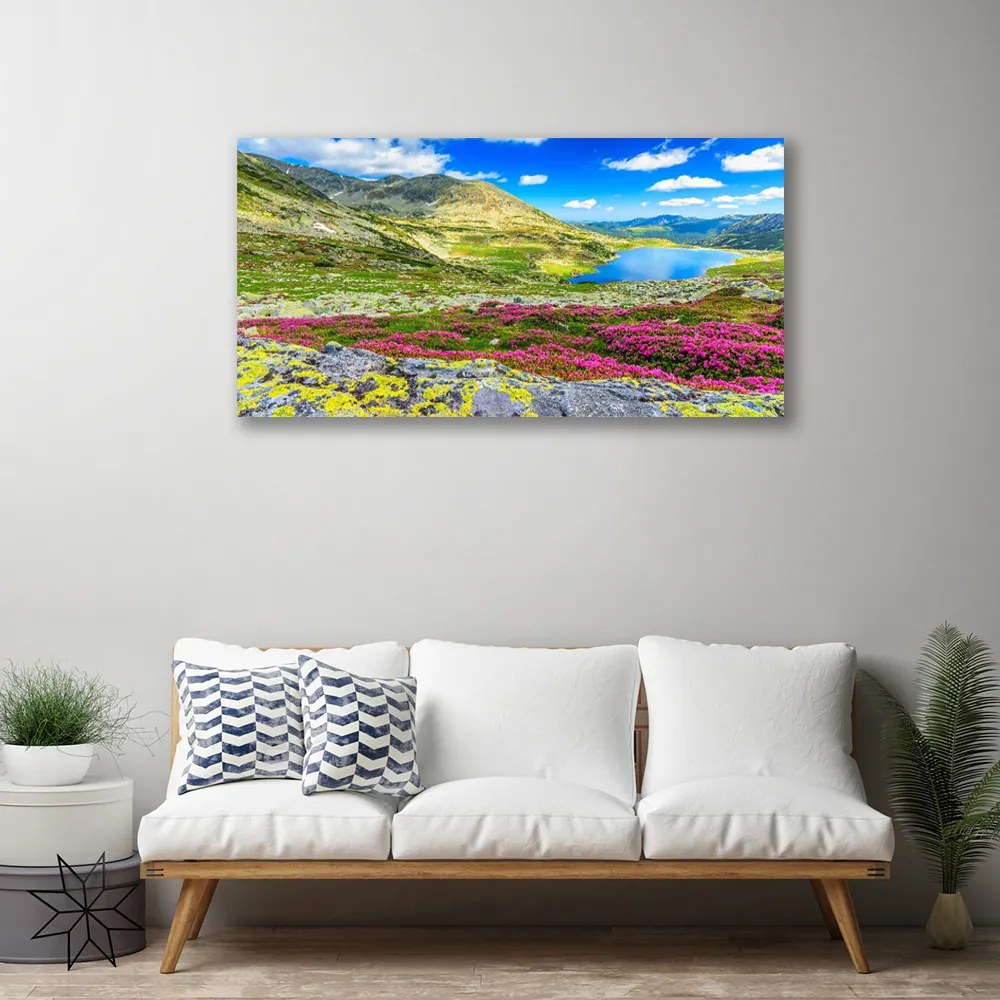 Vászonkép nyomtatás Top Bay Mező Természet 100x50 cm