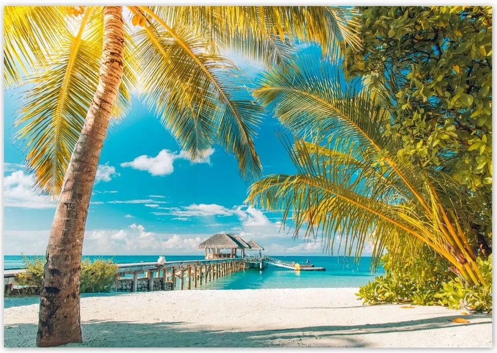 Poszterek 100x70 Trópusok Tájkép Pálma